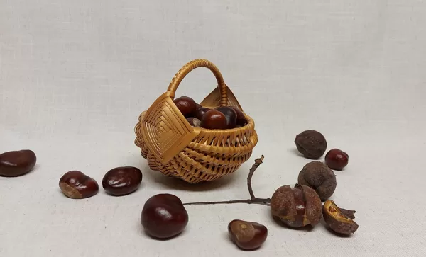 D ap 10.00 cm 20,00 euro