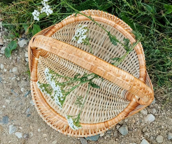 D 30 cm 55,00 euro