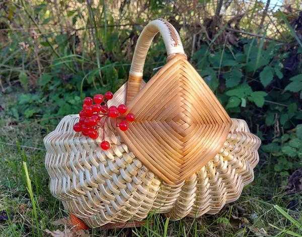 D 25 cm 45,00 euro