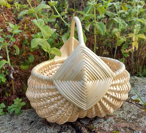 D 15 cm 25,00 euro