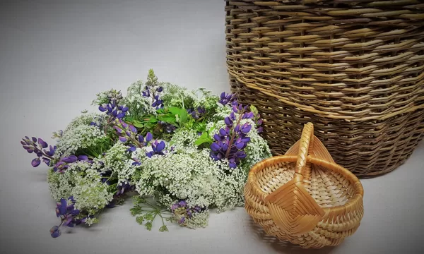 Zāļu tirgus
